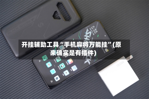 开挂辅助工具“手机麻将万能挂”(原来确实是有插件)-第3张图片