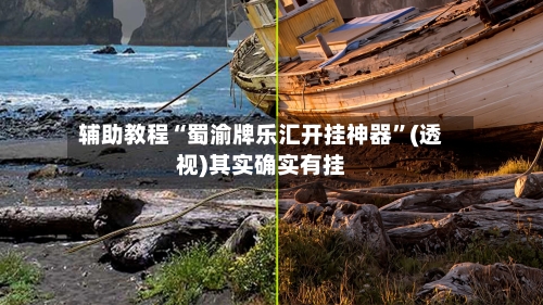 辅助教程“蜀渝牌乐汇开挂神器”(透视)其实确实有挂-第3张图片