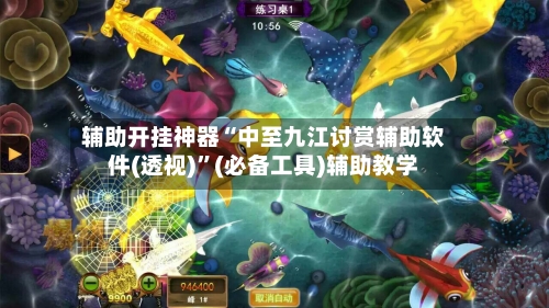 辅助开挂神器“中至九江讨赏辅助软件(透视)	”(必备工具)辅助教学-第3张图片