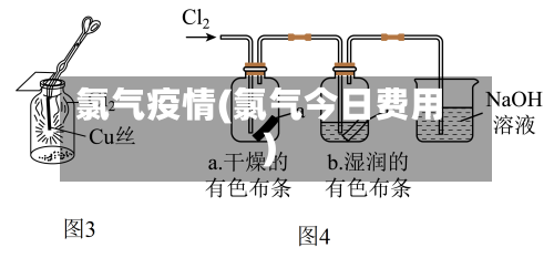 氯气疫情(氯气今日费用)-第2张图片