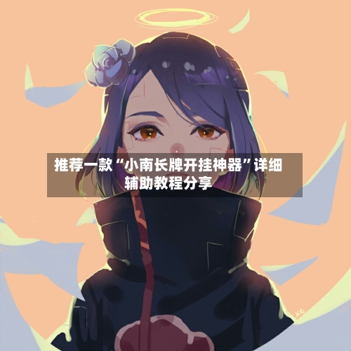 推荐一款“小南长牌开挂神器”详细辅助教程分享-第3张图片