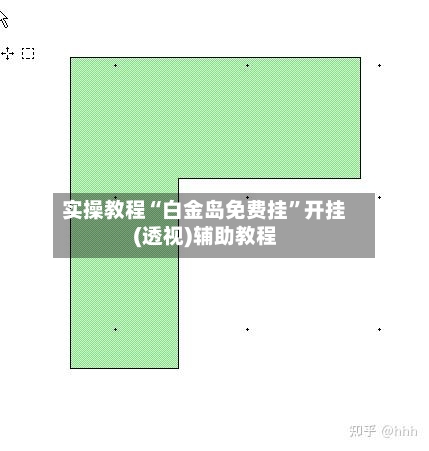 实操教程“白金岛免费挂”开挂(透视)辅助教程