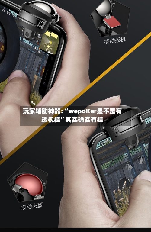 玩家辅助神器:“wepoKer是不是有透视挂”其实确实有挂-第2张图片