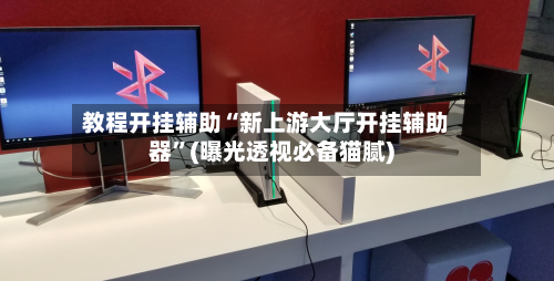 教程开挂辅助“新上游大厅开挂辅助器	”(曝光透视必备猫腻)-第2张图片