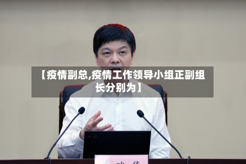【疫情副总,疫情工作领导小组正副组长分别为】-第3张图片