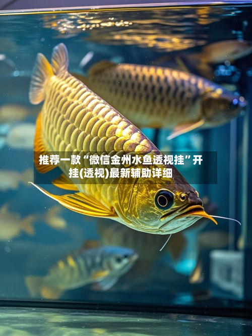 推荐一款“微信金州水鱼透视挂	”开挂(透视)最新辅助详细-第2张图片