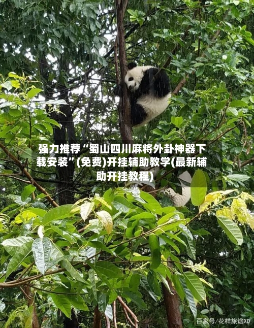 强力推荐“蜀山四川麻将外卦神器下载安装”(免费)开挂辅助教学(最新辅助开挂教程)