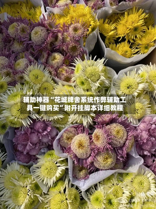 辅助神器“花城牌舍系统作弊辅助工具一键购买”附开挂脚本详细教程