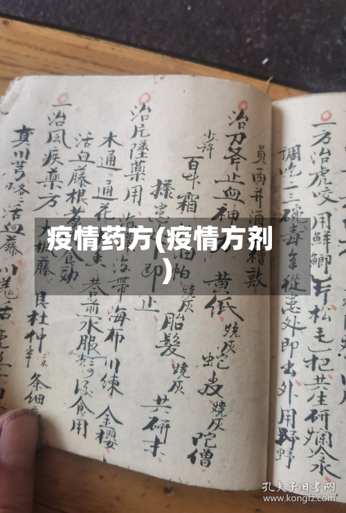 疫情药方(疫情方剂)