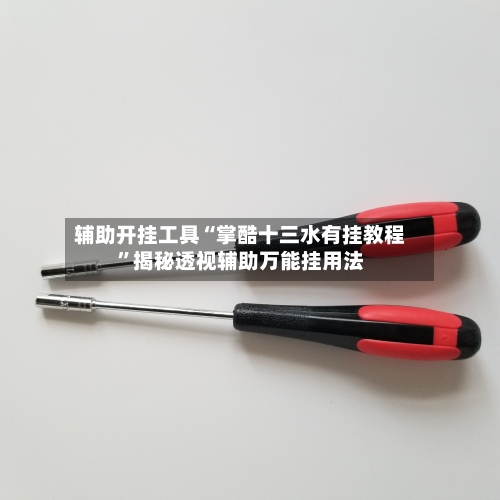 辅助开挂工具“掌酷十三水有挂教程”揭秘透视辅助万能挂用法