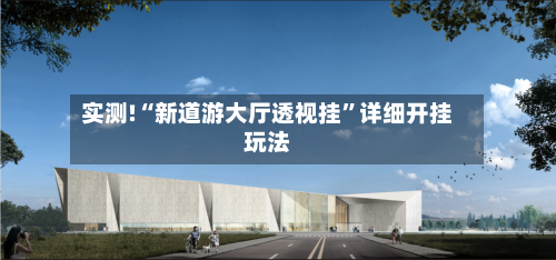 实测!“新道游大厅透视挂”详细开挂玩法-第2张图片