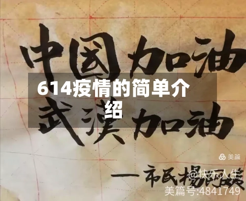 614疫情的简单介绍