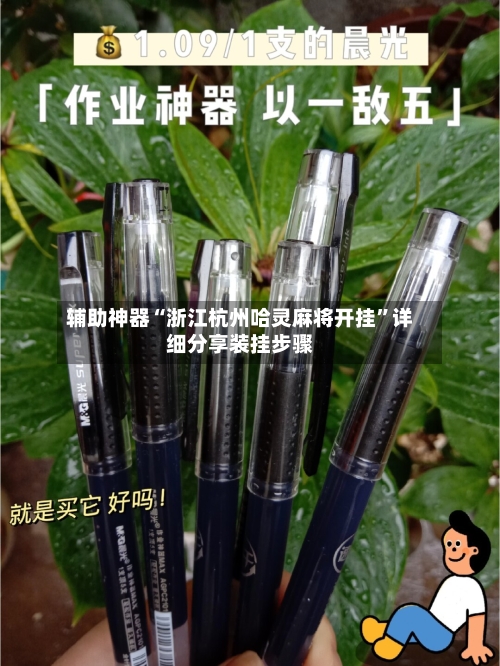 辅助神器“浙江杭州哈灵麻将开挂”详细分享装挂步骤