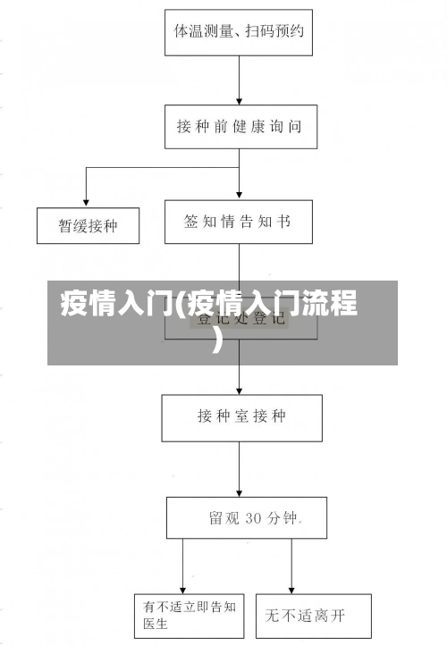 疫情入门(疫情入门流程)-第2张图片