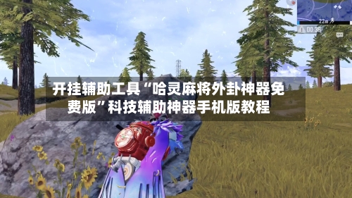 开挂辅助工具“哈灵麻将外卦神器免费版”科技辅助神器手机版教程