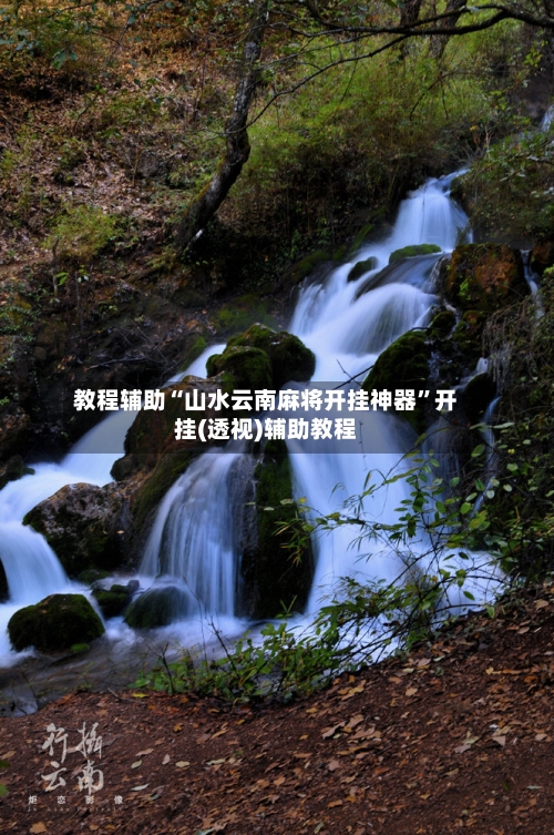 教程辅助“山水云南麻将开挂神器”开挂(透视)辅助教程-第2张图片