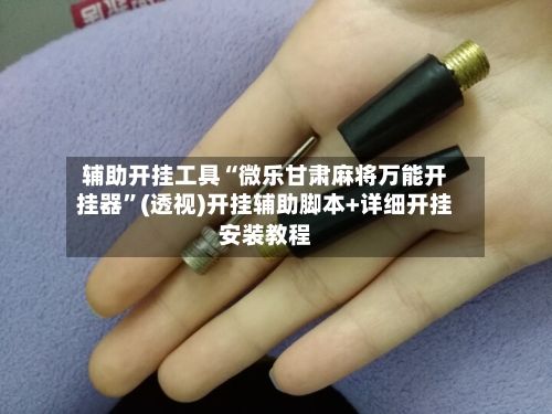 辅助开挂工具“微乐甘肃麻将万能开挂器”(透视)开挂辅助脚本+详细开挂安装教程
