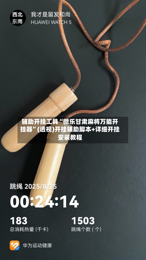 辅助开挂工具“微乐甘肃麻将万能开挂器”(透视)开挂辅助脚本+详细开挂安装教程-第3张图片