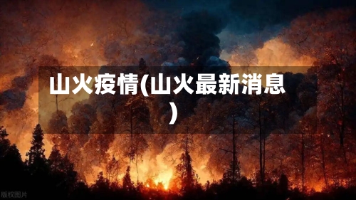 山火疫情(山火最新消息)-第2张图片