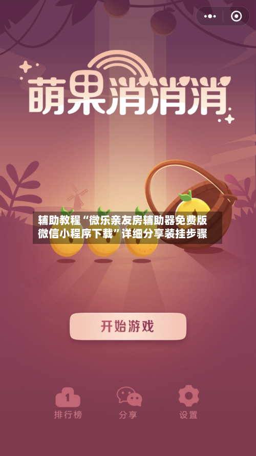 辅助教程“微乐亲友房辅助器免费版微信小程序下载”详细分享装挂步骤