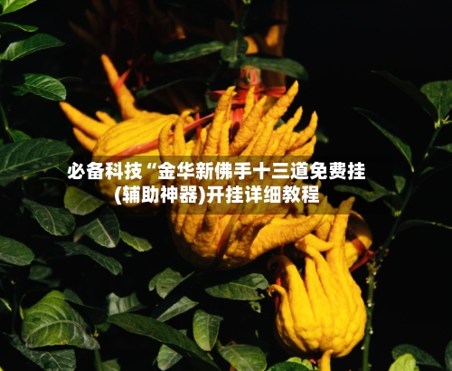 必备科技“金华新佛手十三道免费挂(辅助神器)开挂详细教程
