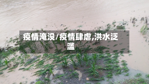 疫情淹没/疫情肆虐,洪水泛滥