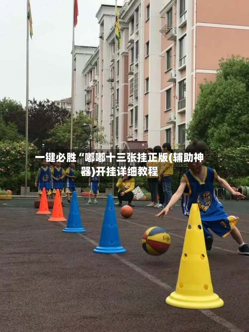 一键必胜“嘟嘟十三张挂正版(辅助神器)开挂详细教程-第2张图片