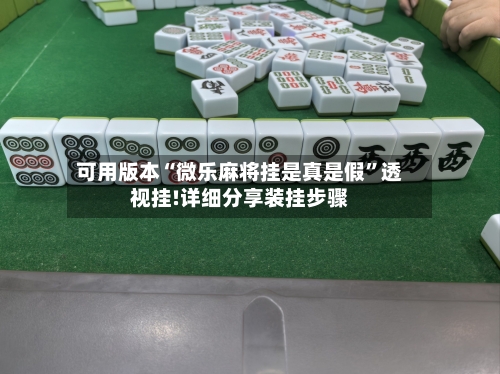 可用版本“微乐麻将挂是真是假”透视挂!详细分享装挂步骤-第2张图片