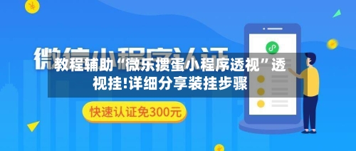 教程辅助“微乐掼蛋小程序透视”透视挂!详细分享装挂步骤-第3张图片