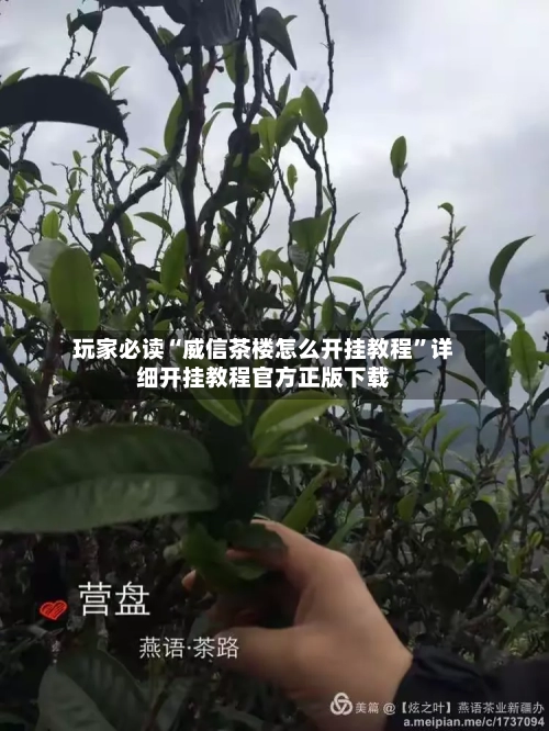 玩家必读“威信茶楼怎么开挂教程	”详细开挂教程官方正版下载-第2张图片