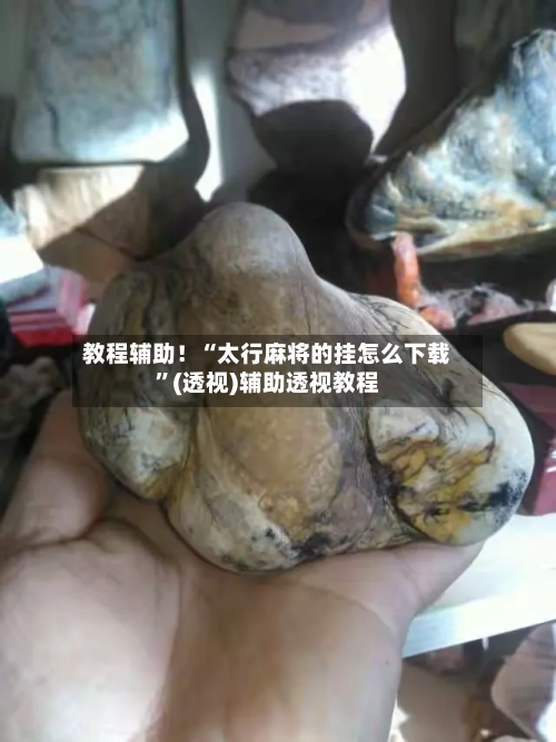 教程辅助！“太行麻将的挂怎么下载”(透视)辅助透视教程-第2张图片