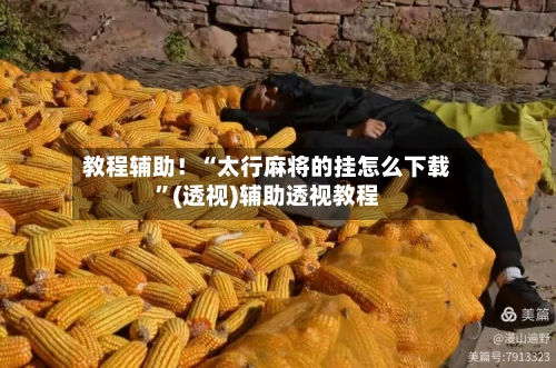 教程辅助！“太行麻将的挂怎么下载”(透视)辅助透视教程-第3张图片