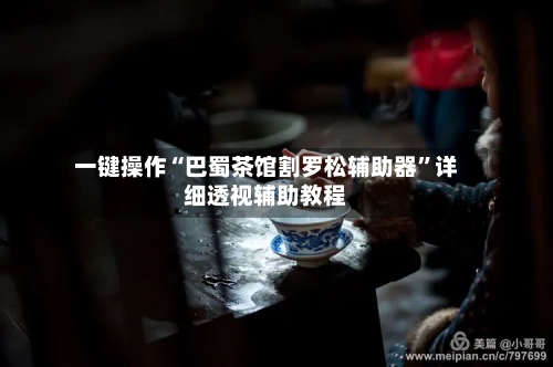 一键操作“巴蜀茶馆割罗松辅助器”详细透视辅助教程