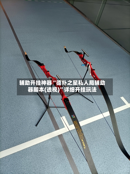 辅助开挂神器“德扑之星私人局辅助器脚本(透视)	”详细开挂玩法-第2张图片