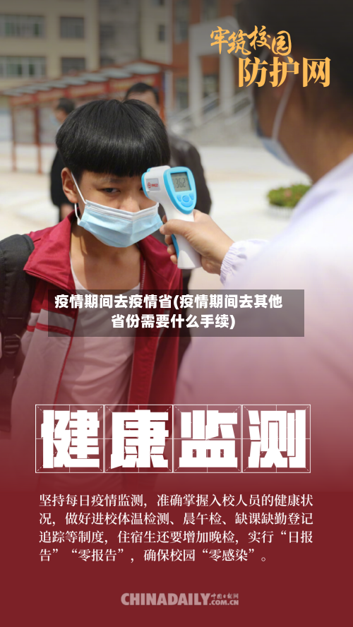 疫情期间去疫情省(疫情期间去其他省份需要什么手续)