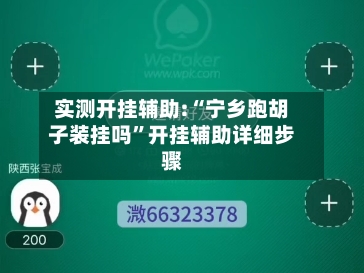 实测开挂辅助:“宁乡跑胡子装挂吗”开挂辅助详细步骤-第3张图片