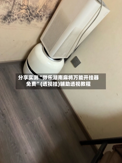 分享实测“微乐湖南麻将万能开挂器免费”(透视挂)辅助透视教程-第2张图片