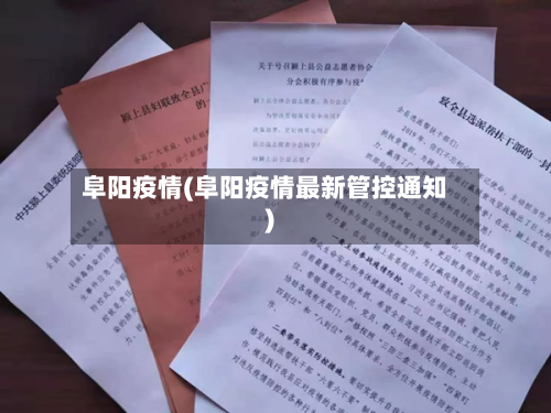 阜阳疫情(阜阳疫情最新管控通知)-第3张图片