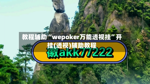 教程辅助“wepoker万能透视挂”开挂(透视)辅助教程-第3张图片