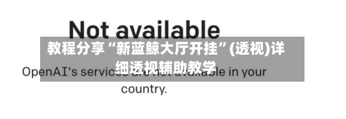 教程分享“新蓝鲸大厅开挂”(透视)详细透视辅助教学