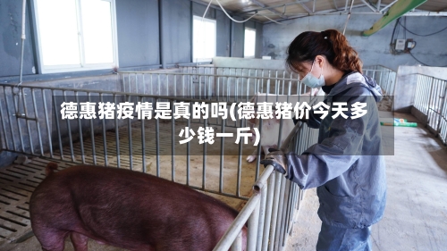 德惠猪疫情是真的吗(德惠猪价今天多少钱一斤)