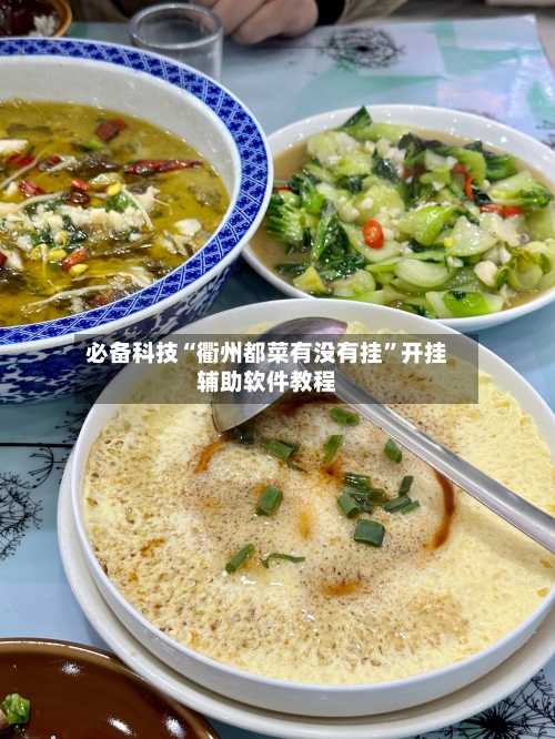 必备科技“衢州都菜有没有挂”开挂辅助软件教程