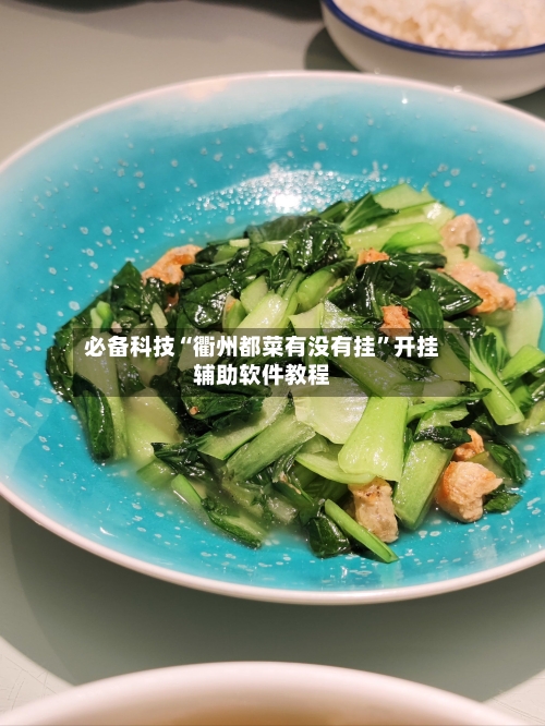 必备科技“衢州都菜有没有挂	”开挂辅助软件教程-第2张图片