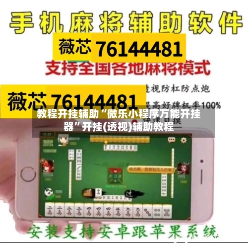 教程开挂辅助“微乐小程序万能开挂器”开挂(透视)辅助教程-第3张图片