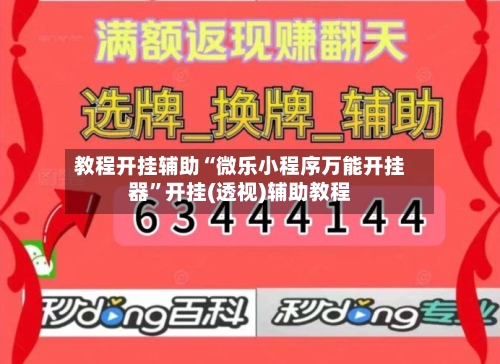教程开挂辅助“微乐小程序万能开挂器”开挂(透视)辅助教程-第2张图片