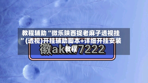 教程辅助“微乐陕西捉老麻子透视挂”(透视)开挂辅助脚本+详细开挂安装教程