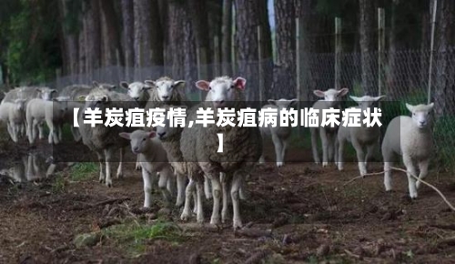 【羊炭疽疫情,羊炭疽病的临床症状】-第3张图片