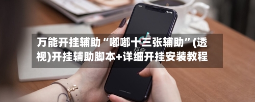 万能开挂辅助“嘟嘟十三张辅助”(透视)开挂辅助脚本+详细开挂安装教程