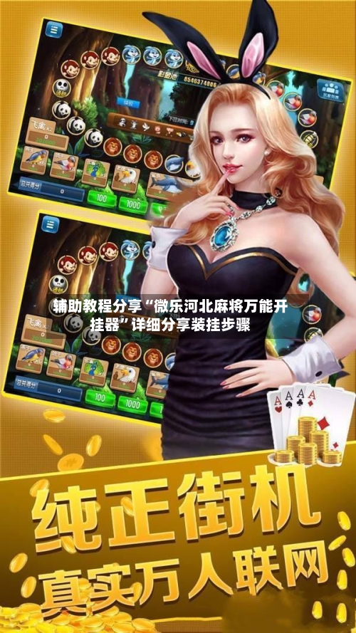 辅助教程分享“微乐河北麻将万能开挂器”详细分享装挂步骤