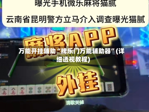 万能开挂辅助“牌乐门万能辅助器”(详细透视教程)-第2张图片